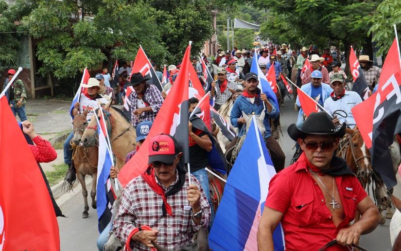 ESTELI